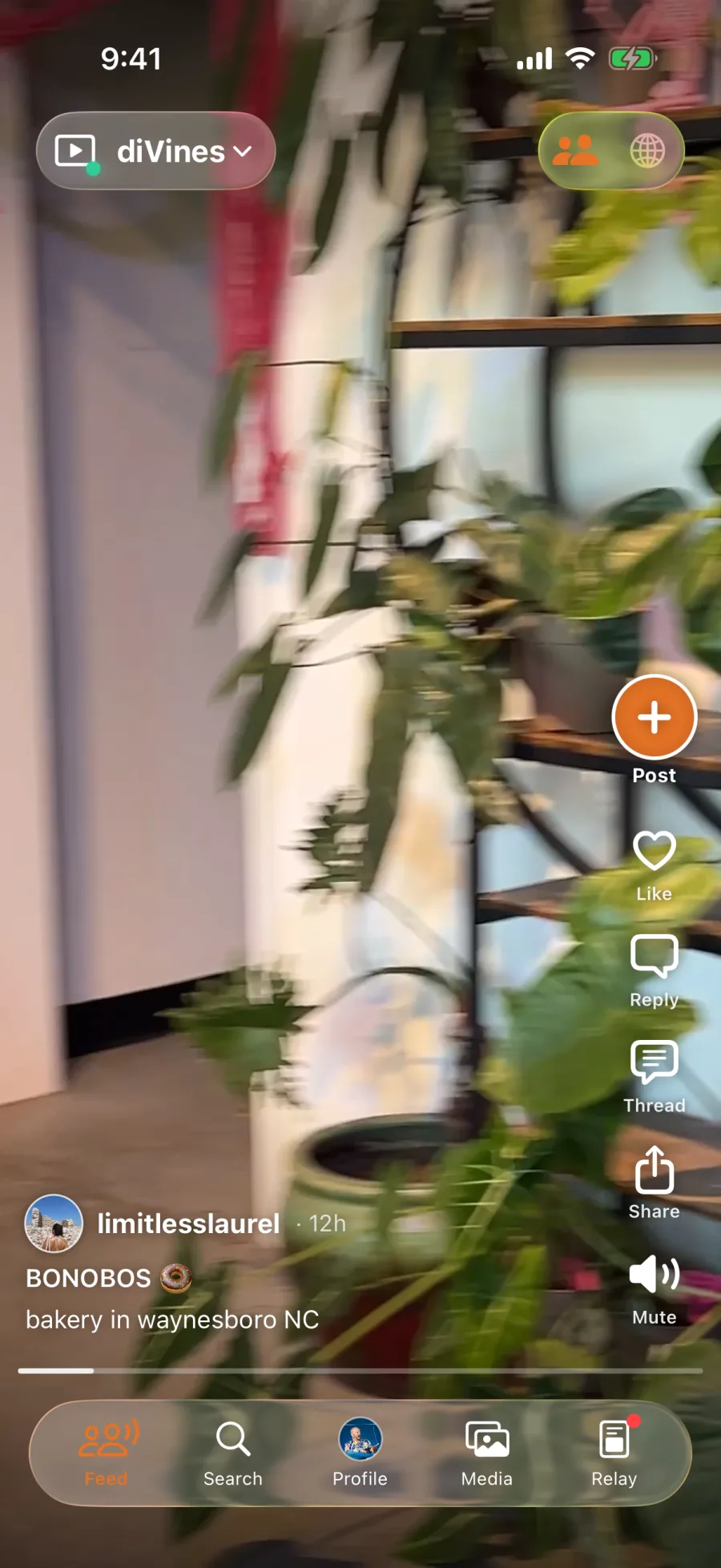 Nostr Vault Reels feed on iPhone playing a vertical video