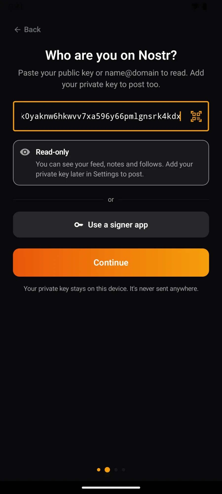 Who are you on Nostr?, with an npub pasted