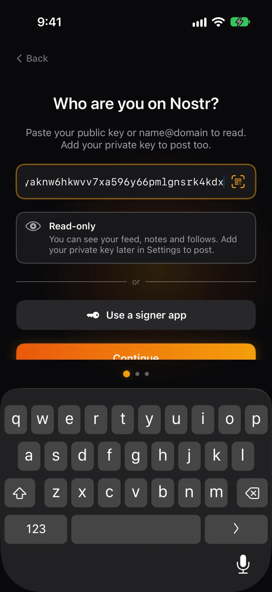 Who are you on Nostr?, with an npub pasted